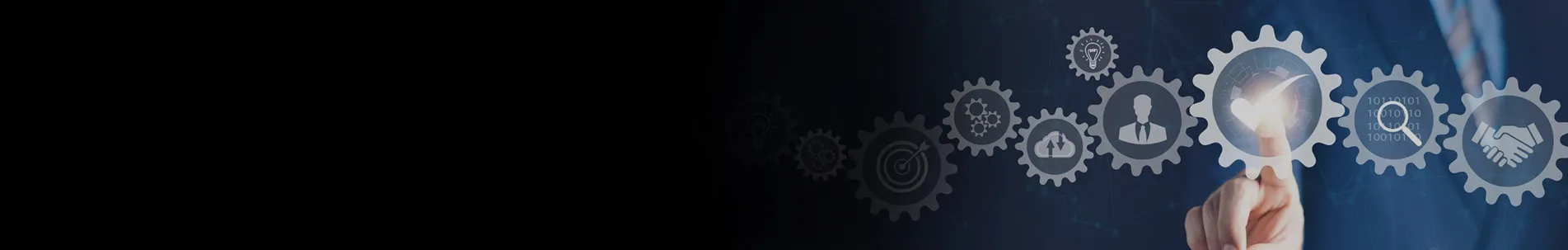 Our Process