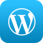 Wordpress Plugin Developer